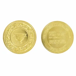 Médaille souvenir du Musée d'Archéologie nationale - Domaine national de Saint-Germain-en-Laye Médailles Et Monnaies