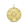 Médaille Vermeil Le Roi Soleil - Château de Versailles X Arthus Bertrand