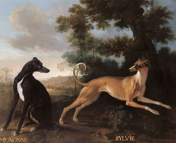 Outlet Mignonne et Sylvie, chiens de Louis XV (panneaux acryliques) Panneaux Acryliques|Toiles Sans Cadre
