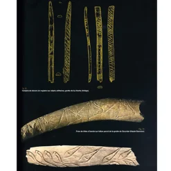 Online Mille et une femmes de la fin des temps glaciaires Catalogues D'Exposition