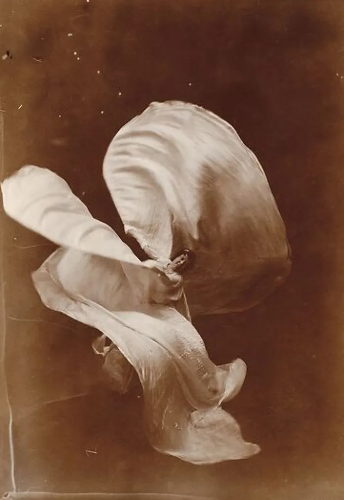 Mlle Loïe Fuller (panneaux aluminium)