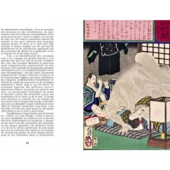 Hot Monstres Yokai Livres D'Art