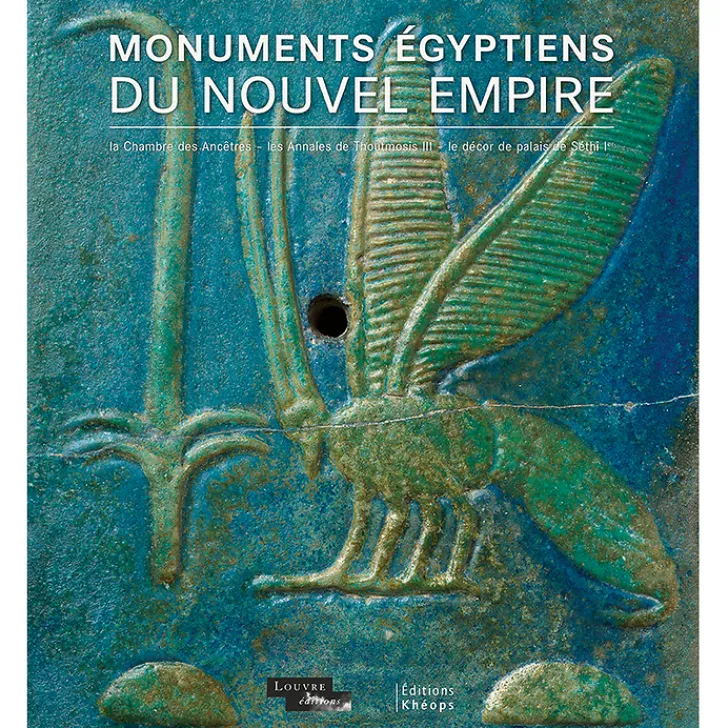 New Monuments égyptiens du Nouvel Empire Livres D'Art