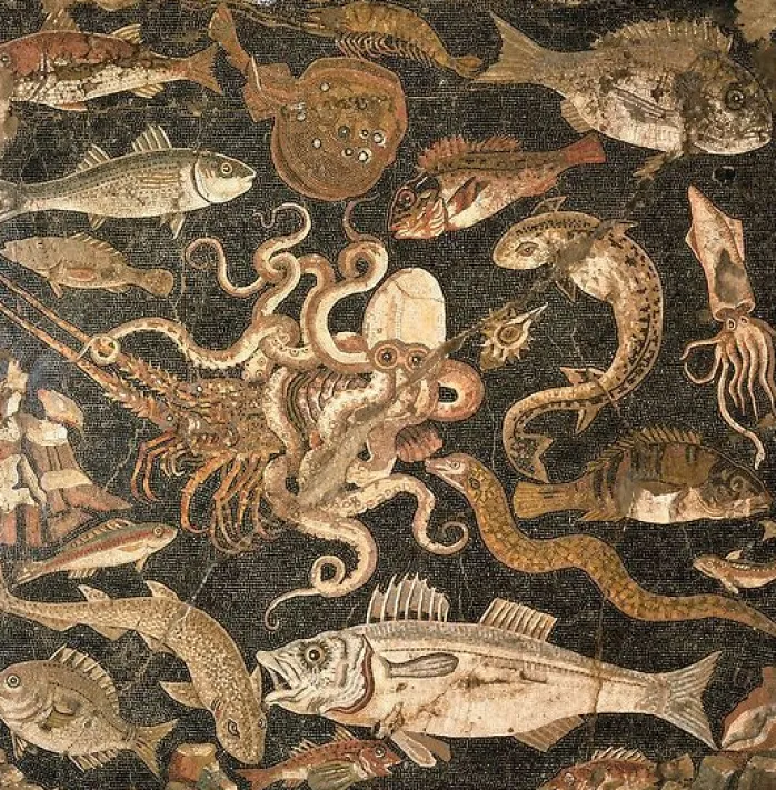 Mosaïque représentant une bataille entre une pieuvre et un homard (détail), IIe siècle avant J.-C. (panneaux aluminium)