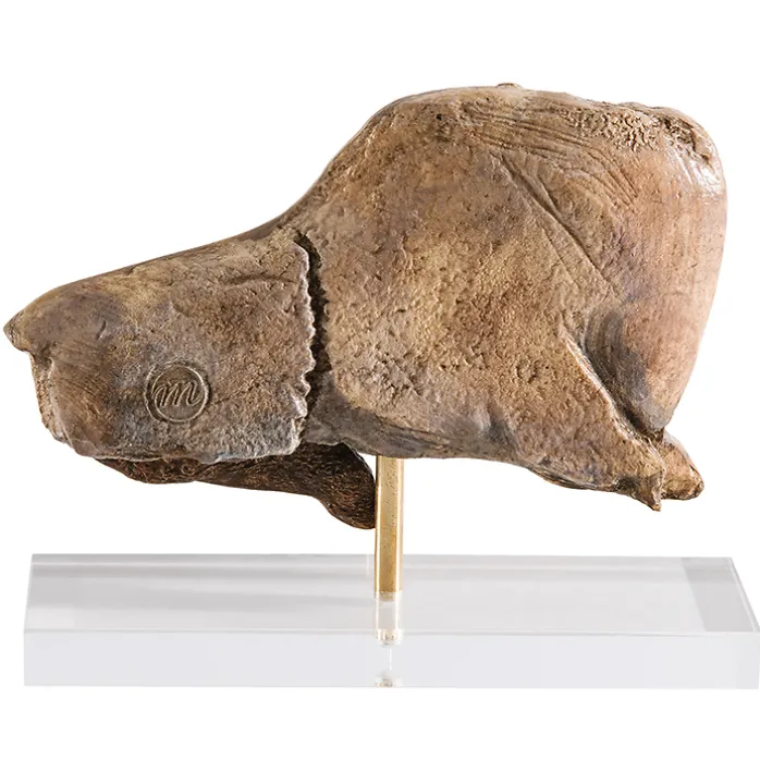 Moulage Bison se léchant