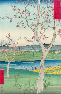 Musashi Koshigaya zai (toiles encadrées)