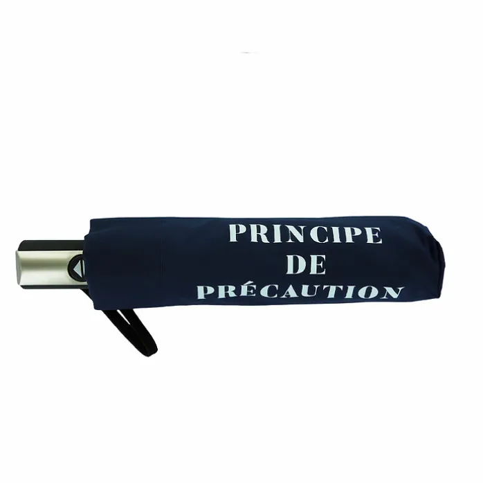 Parapluie pliable Conseil constitutionnel - Principe de précaution