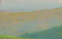 Paysage de montagne avec forêt de sapins au premier plan (panneaux acryliques)