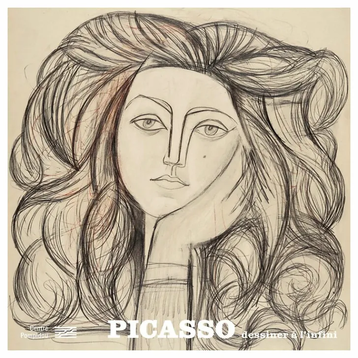 Best Picasso - Dessiner à l'infini - Album de l'exposition Catalogues D'Exposition