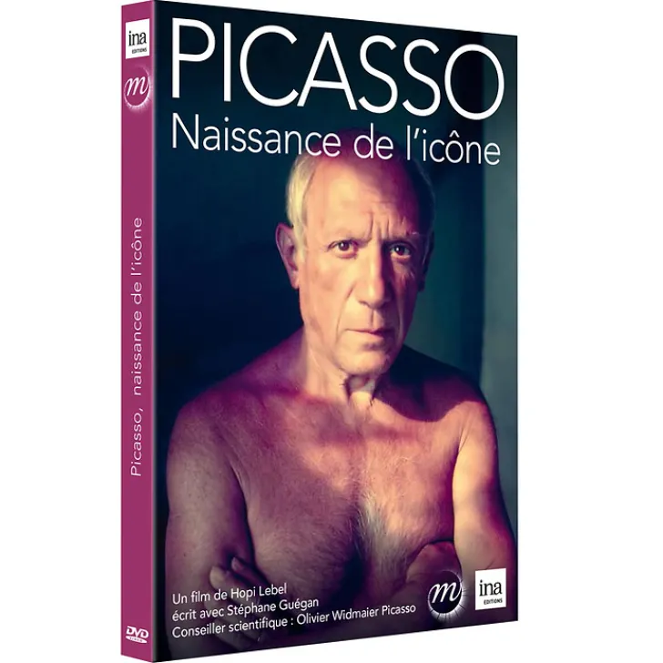 Online Picasso. Naissance de l'icône Dvd Culturels