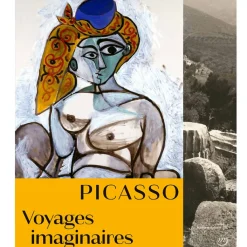 Discount Picasso, voyages imaginaires Catalogues D'Exposition