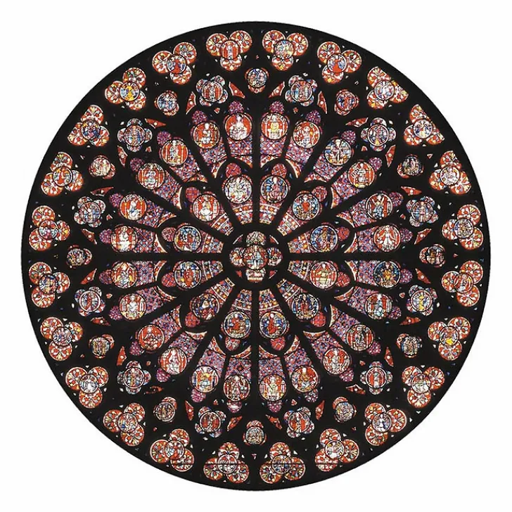 Hot Puzzle d'art en bois 80 pièces Rosace Notre-Dame de Paris Loisirs Créatifs
