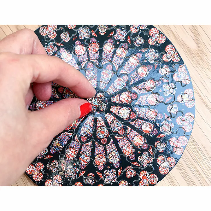 Hot Puzzle d'art en bois 80 pièces Rosace Notre-Dame de Paris Loisirs Créatifs