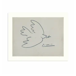Reproduction Pablo Picasso - Colombe
