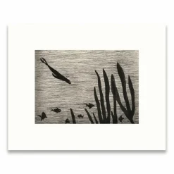 Sale Reproduction sous Marie-Louise Léopold Chauveau - Le petit phoque Affiches Et Reproductions