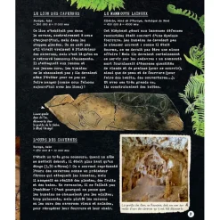 Si la Préhistoire m'était contée - Secrets d'Histoire junior