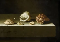 Six coquillages sur une table de pierre (affiches d'art)