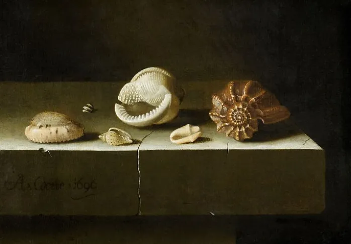 Six coquillages sur une table de pierre (affiches d'art)