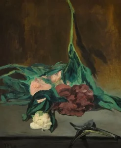 Outlet Tige de pivoines et sécateur (affiches d'art) Affiches D'Art|Toiles Sur Châssis