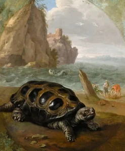 Tortue (affiches d'art)