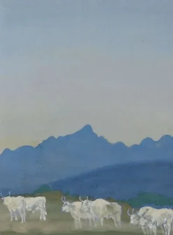 Trois couples de taureaux blancs sur fond de montagnes (panneaux aluminium)