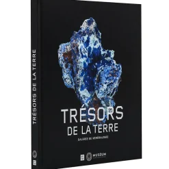 Trésors de la terre. Collections de la galerie de Minéralogie