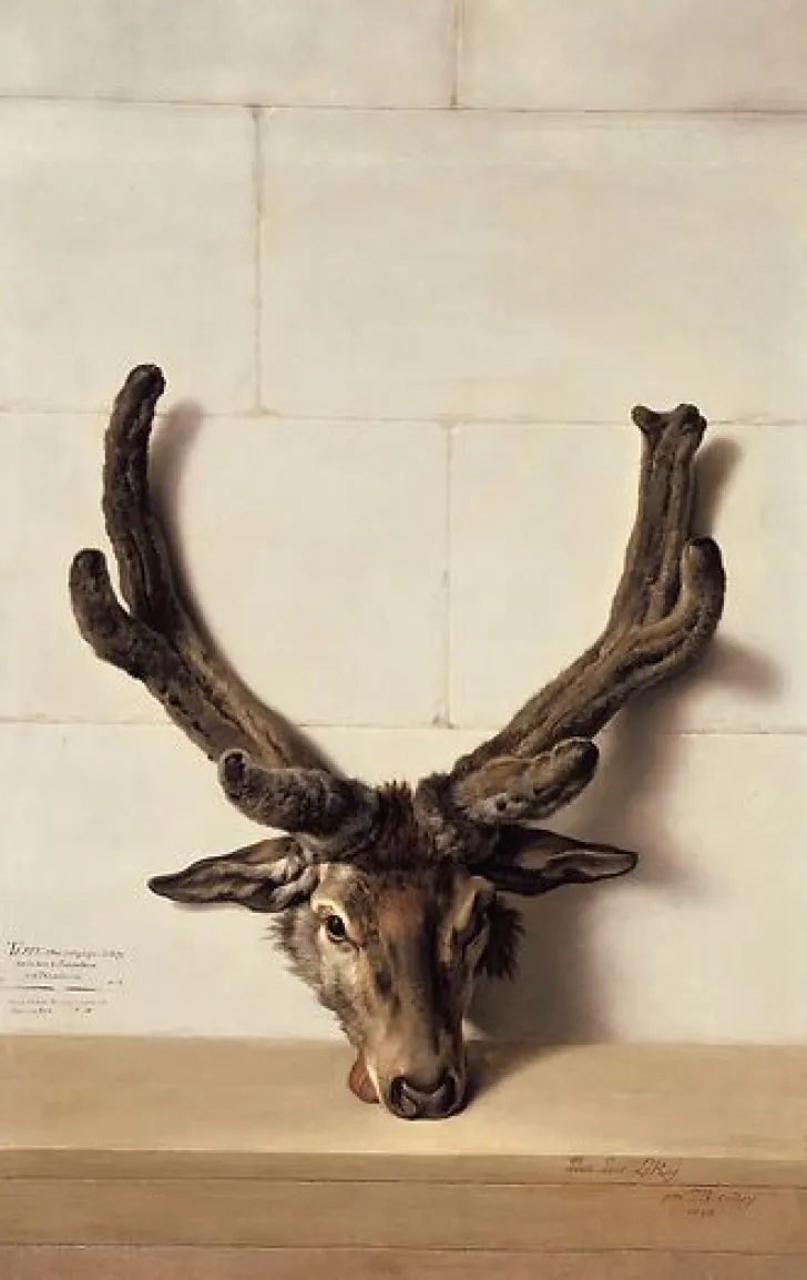 New Tête de cerf bizarre sur un mur de pierre, signé et daté en bas à droite (toiles encadrées) Toiles Encadrées|Toiles Sur Châssis