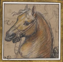 Tête de cheval (affiches d'art)