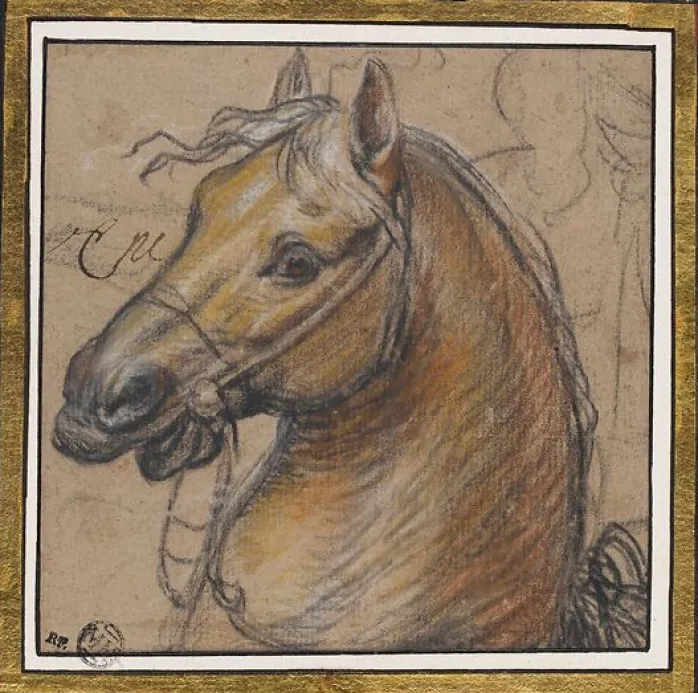 Tête de cheval (affiches d'art)