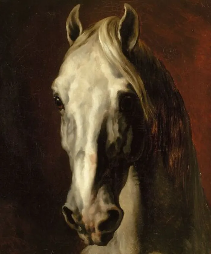 Tête de cheval blanc (panneaux aluminium)