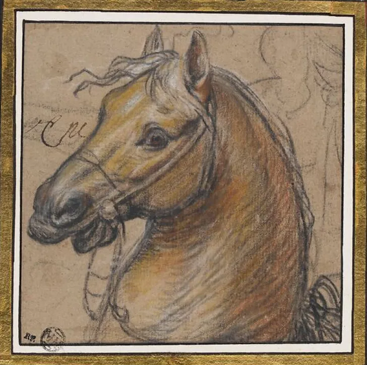 Sale Tête de cheval (toiles sur châssis) Toiles Sur Châssis|Panneaux Acryliques