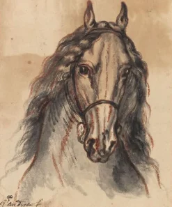 Tête de cheval, vue de face (panneaux acryliques)