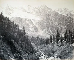 Online Wanga valley and glacier (Abies Webbiana) [Himachal Pradesh. Vallée de Wanga et glaciers], 1866 (affiches d'art) Affiches D'Art
